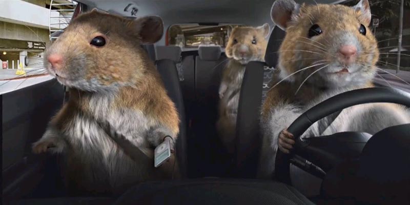 محققان توانستند به موش‌ها رانندگی یاد بدهند!